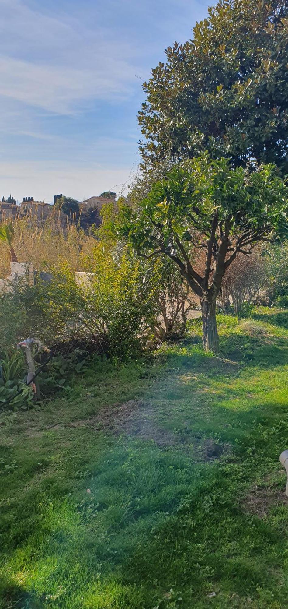 Plein Sud Villa Tourrettes-sur-Loup Dış mekan fotoğraf